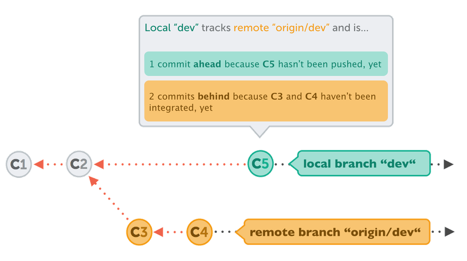 Tracking branches